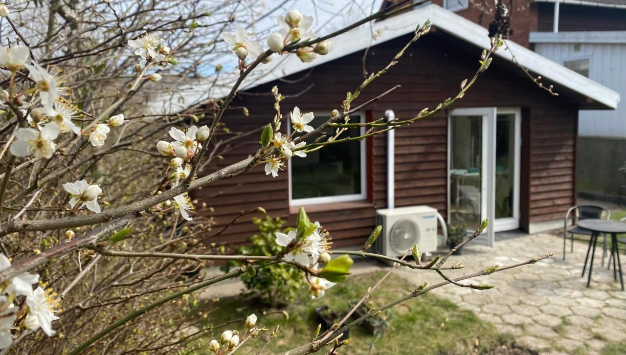 Cozy House With A Graden View Villa แฮร์เลว ภายนอก รูปภาพ
